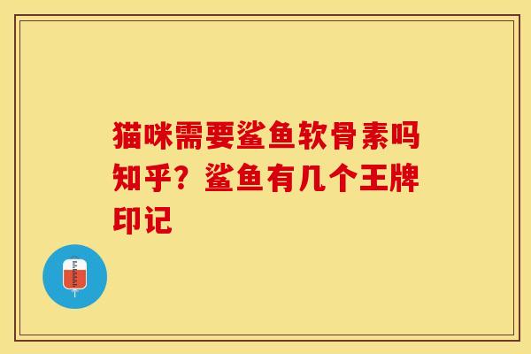 猫咪需要鲨鱼软骨素吗知乎？鲨鱼有几个王牌印记-第1张图片-关节保镖