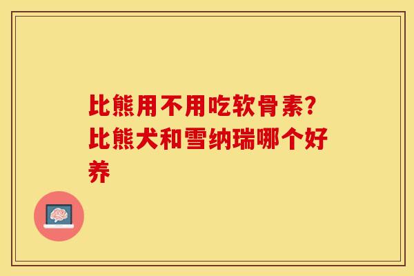比熊用不用吃软骨素？比熊犬和雪纳瑞哪个好养-第1张图片-关节保镖