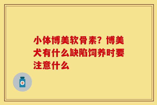 小体博美软骨素？博美犬有什么缺陷饲养时要注意什么-第1张图片-关节保镖
