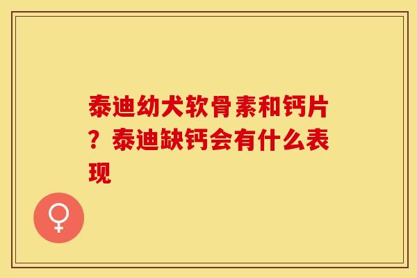 泰迪幼犬软骨素和钙片？泰迪缺钙会有什么表现-第1张图片-关节保镖