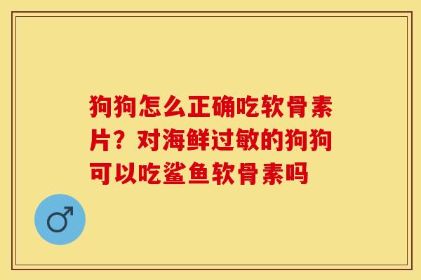 狗狗怎么正确吃软骨素片？对海鲜过敏的狗狗可以吃鲨鱼软骨素吗-第1张图片-关节保镖