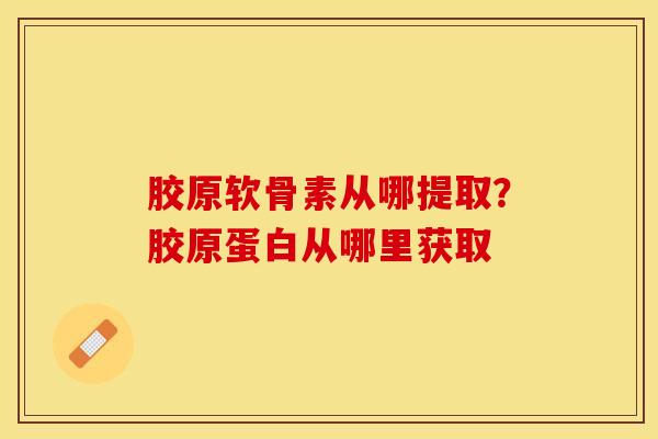 胶原软骨素从哪提取？胶原蛋白从哪里获取-第1张图片-关节保镖