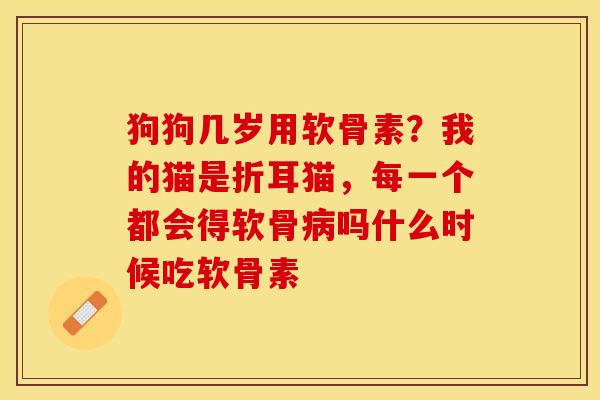 狗狗几岁用软骨素？我的猫是折耳猫，每一个都会得软骨病吗什么时候吃软骨素-第1张图片-关节保镖