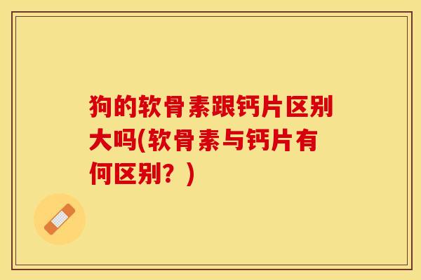 狗的软骨素跟钙片区别大吗(软骨素与钙片有何区别？)-第1张图片-关节保镖