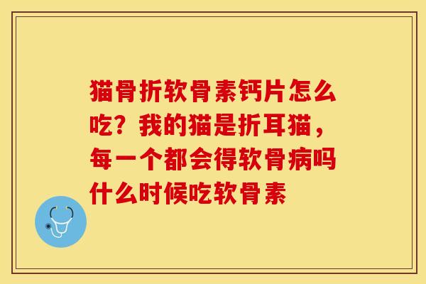 猫骨折软骨素钙片怎么吃？我的猫是折耳猫	，每一个都会得软骨病吗什么时候吃软骨素-第1张图片-关节保镖