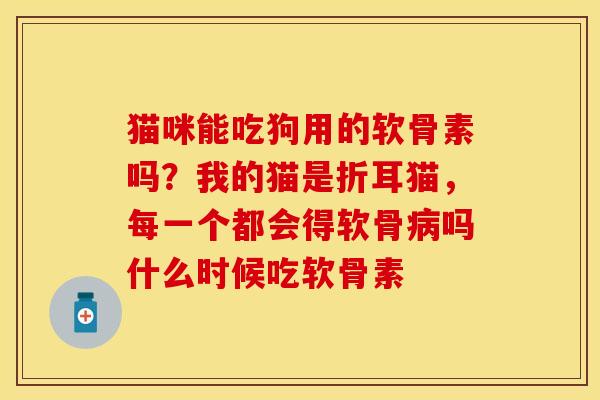 猫咪能吃狗用的软骨素吗？我的猫是折耳猫，每一个都会得软骨病吗什么时候吃软骨素-第1张图片-关节保镖