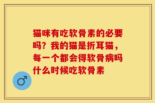 猫咪有吃软骨素的必要吗？我的猫是折耳猫，每一个都会得软骨病吗什么时候吃软骨素-第1张图片-关节保镖