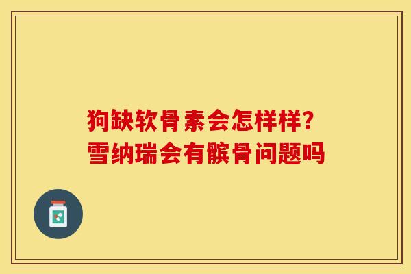 狗缺软骨素会怎样样？雪纳瑞会有髌骨问题吗-第1张图片-关节保镖