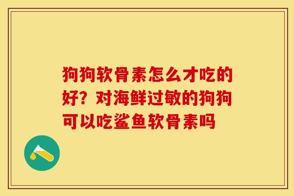 狗狗软骨素怎么才吃的好？对海鲜过敏的狗狗可以吃鲨鱼软骨素吗-第1张图片-关节保镖