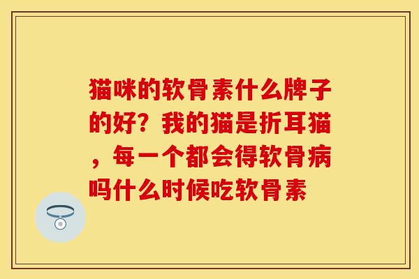 猫咪的软骨素什么牌子的好？我的猫是折耳猫	，每一个都会得软骨病吗什么时候吃软骨素-第1张图片-关节保镖