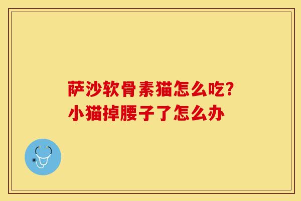 萨沙软骨素猫怎么吃？小猫掉腰子了怎么办-第1张图片-关节保镖