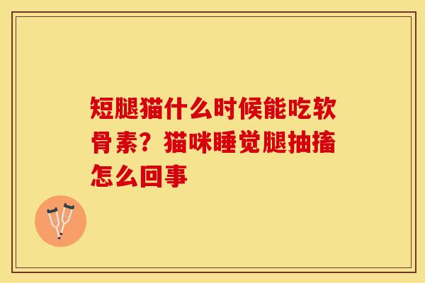 短腿猫什么时候能吃软骨素？猫咪睡觉腿抽搐怎么回事-第1张图片-关节保镖