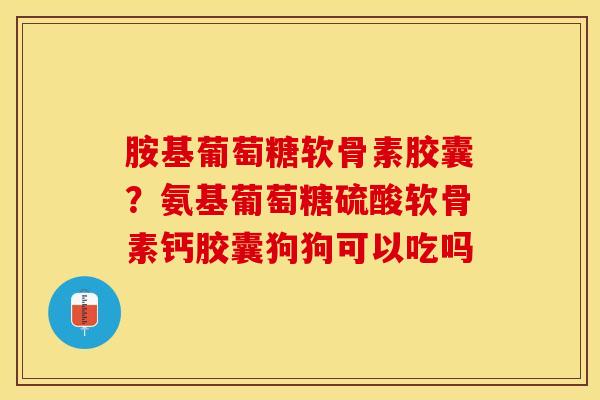 胺基葡萄糖软骨素胶囊？氨基葡萄糖硫酸软骨素钙胶囊狗狗可以吃吗-第1张图片-关节保镖
