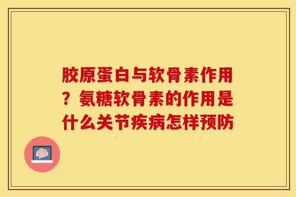 胶原蛋白与软骨素作用？氨糖软骨素的作用是什么关节疾病怎样预防-第1张图片-关节保镖