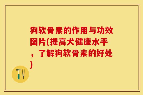 狗软骨素的作用与功效图片(提高犬健康水平	，了解狗软骨素的好处)-第1张图片-关节保镖