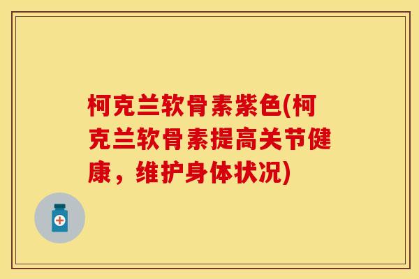 柯克兰软骨素紫色(柯克兰软骨素提高关节健康，维护身体状况)-第1张图片-关节保镖
