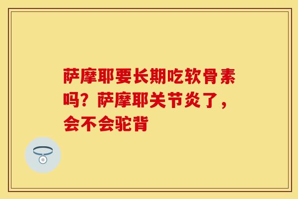 萨摩耶要长期吃软骨素吗？萨摩耶关节炎了，会不会驼背-第1张图片-关节保镖
