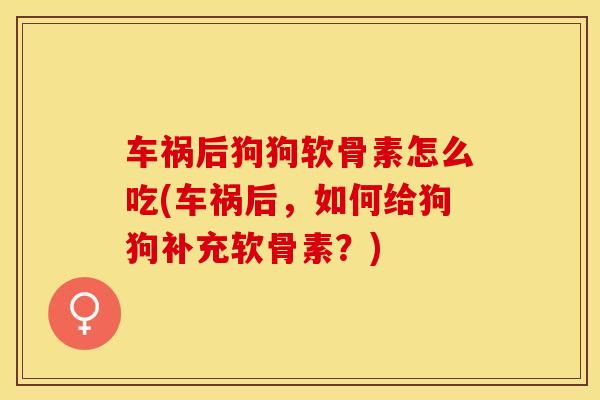 车祸后狗狗软骨素怎么吃(车祸后，如何给狗狗补充软骨素？)-第1张图片-关节保镖