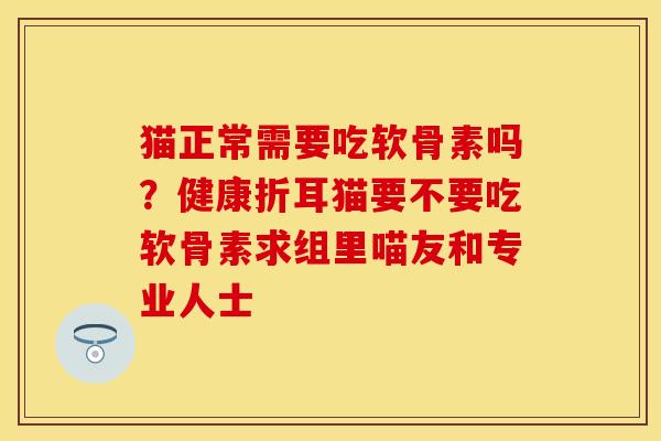 猫正常需要吃软骨素吗？健康折耳猫要不要吃软骨素求组里喵友和专业人士-第1张图片-关节保镖
