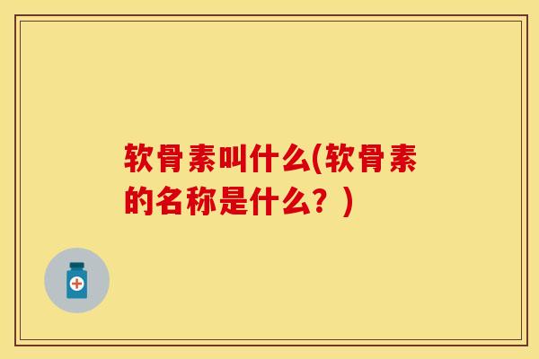 软骨素叫什么(软骨素的名称是什么？)-第1张图片-关节保镖