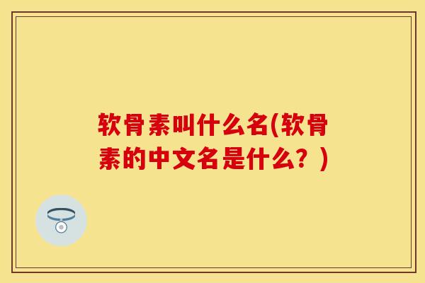 软骨素叫什么名(软骨素的中文名是什么？)-第1张图片-关节保镖