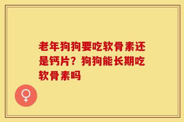 老年狗狗要吃软骨素还是钙片？狗狗能长期吃软骨素吗-第1张图片-关节保镖