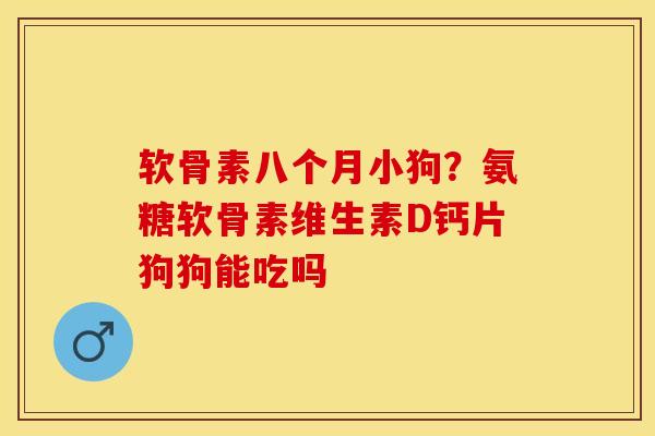 软骨素八个月小狗？氨糖软骨素维生素D钙片狗狗能吃吗-第1张图片-关节保镖