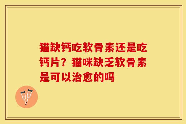 猫缺钙吃软骨素还是吃钙片？猫咪缺乏软骨素是可以治愈的吗-第1张图片-关节保镖
