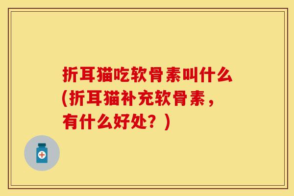 折耳猫吃软骨素叫什么(折耳猫补充软骨素	，有什么好处？)-第1张图片-关节保镖