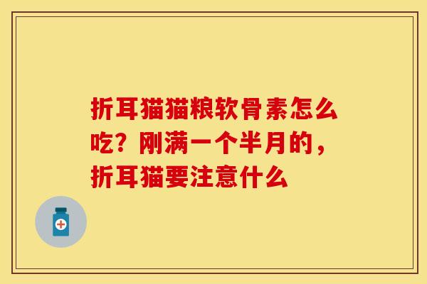 折耳猫猫粮软骨素怎么吃？刚满一个半月的，折耳猫要注意什么-第1张图片-关节保镖