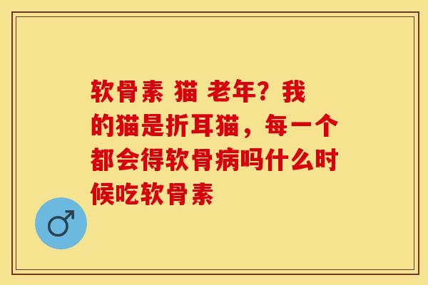 软骨素 猫 老年？我的猫是折耳猫，每一个都会得软骨病吗什么时候吃软骨素-第1张图片-关节保镖
