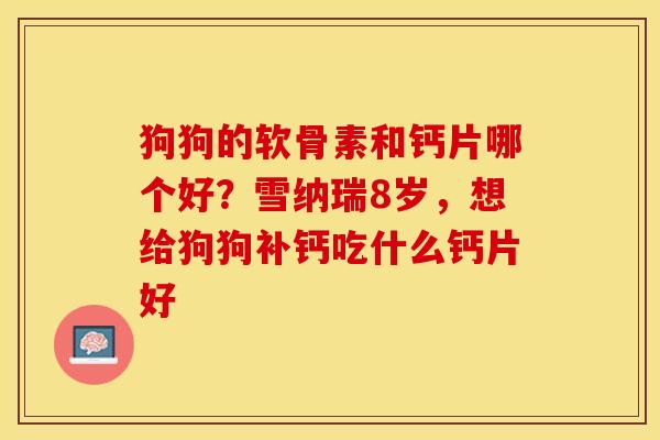 狗狗的软骨素和钙片哪个好？雪纳瑞8岁，想给狗狗补钙吃什么钙片好-第1张图片-关节保镖