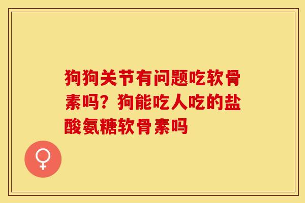 狗狗关节有问题吃软骨素吗？狗能吃人吃的盐酸氨糖软骨素吗-第1张图片-关节保镖