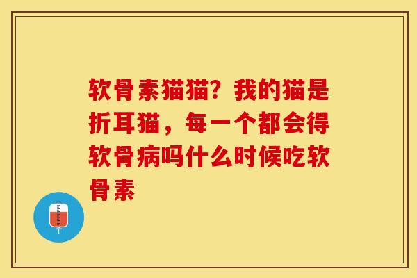 软骨素猫猫？我的猫是折耳猫，每一个都会得软骨病吗什么时候吃软骨素-第1张图片-关节保镖