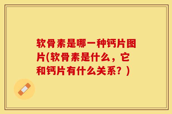 软骨素是哪一种钙片图片(软骨素是什么，它和钙片有什么关系？)-第1张图片-关节保镖