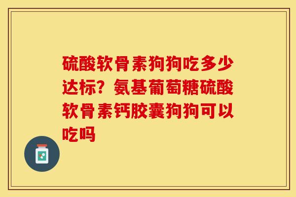 硫酸软骨素狗狗吃多少达标？氨基葡萄糖硫酸软骨素钙胶囊狗狗可以吃吗-第1张图片-关节保镖