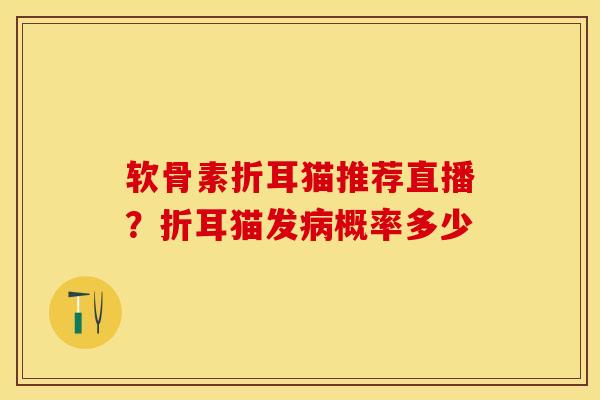 软骨素折耳猫推荐直播？折耳猫发病概率多少-第1张图片-关节保镖
