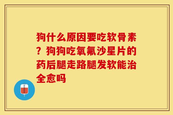 狗什么原因要吃软骨素？狗狗吃氧氟沙星片的药后腿走路腿发软能治全愈吗-第1张图片-关节保镖