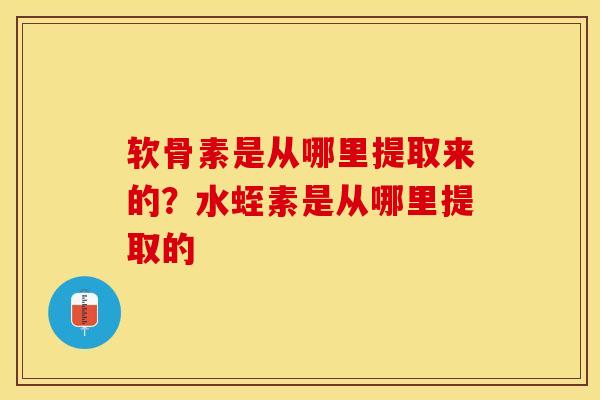 软骨素是从哪里提取来的？水蛭素是从哪里提取的-第1张图片-关节保镖