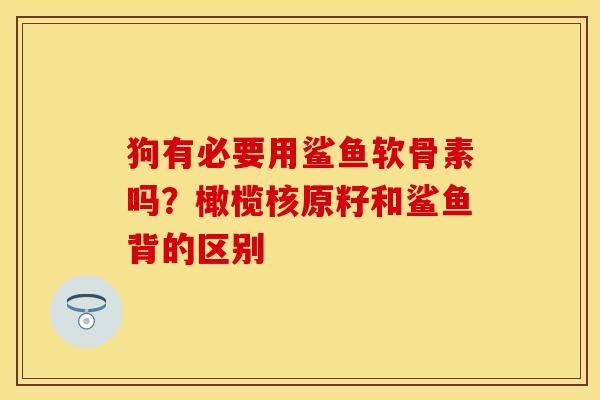 狗有必要用鲨鱼软骨素吗？橄榄核原籽和鲨鱼背的区别-第1张图片-关节保镖