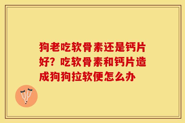 狗老吃软骨素还是钙片好？吃软骨素和钙片造成狗狗拉软便怎么办-第1张图片-关节保镖