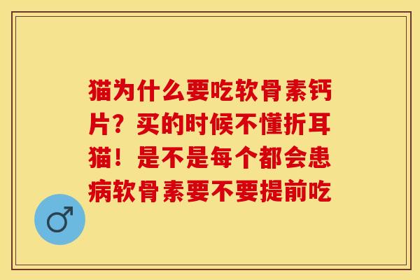 猫为什么要吃软骨素钙片？买的时候不懂折耳猫！是不是每个都会患病软骨素要不要提前吃-第1张图片-关节保镖