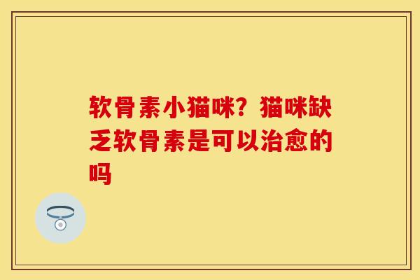 软骨素小猫咪？猫咪缺乏软骨素是可以治愈的吗-第1张图片-关节保镖