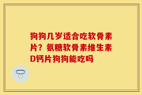 狗狗几岁适合吃软骨素片？氨糖软骨素维生素D钙片狗狗能吃吗-第1张图片-关节保镖