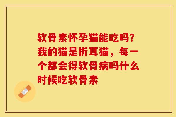 软骨素怀孕猫能吃吗？我的猫是折耳猫，每一个都会得软骨病吗什么时候吃软骨素-第1张图片-关节保镖