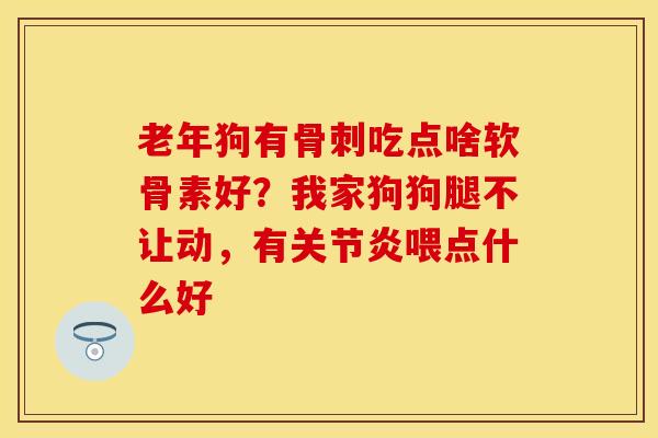 老年狗有骨刺吃点啥软骨素好？我家狗狗腿不让动，有关节炎喂点什么好-第1张图片-关节保镖