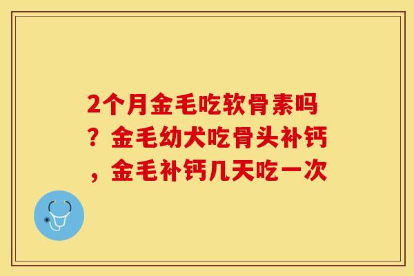 2个月金毛吃软骨素吗？金毛幼犬吃骨头补钙，金毛补钙几天吃一次-第1张图片-关节保镖