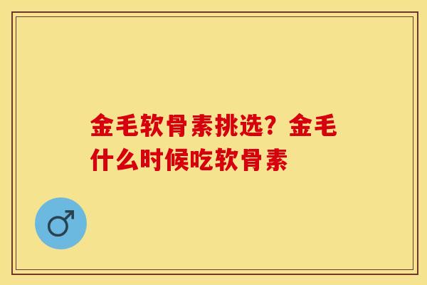 金毛软骨素挑选？金毛什么时候吃软骨素-第1张图片-关节保镖