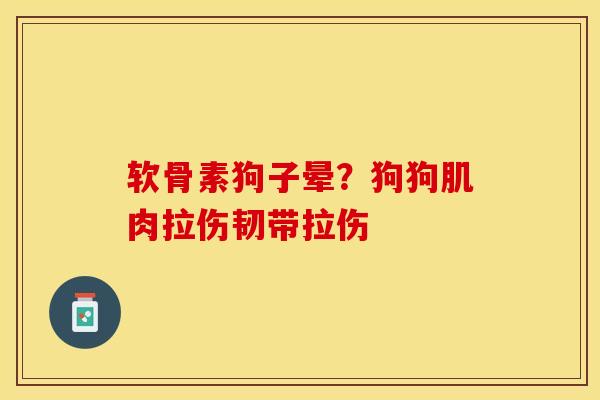 软骨素狗子晕？狗狗肌肉拉伤韧带拉伤-第1张图片-关节保镖
