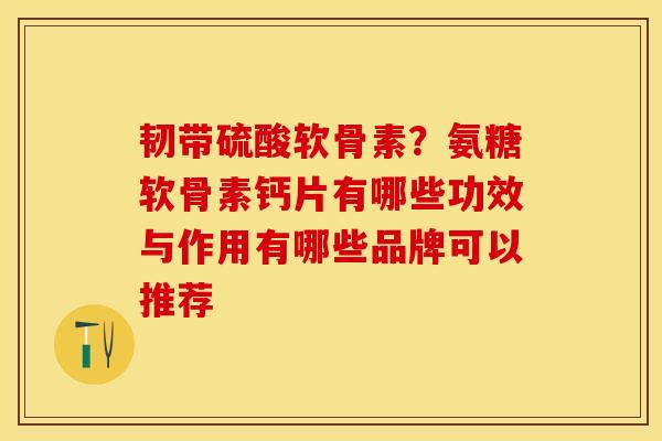 韧带硫酸软骨素？氨糖软骨素钙片有哪些功效与作用有哪些品牌可以推荐-第1张图片-关节保镖
